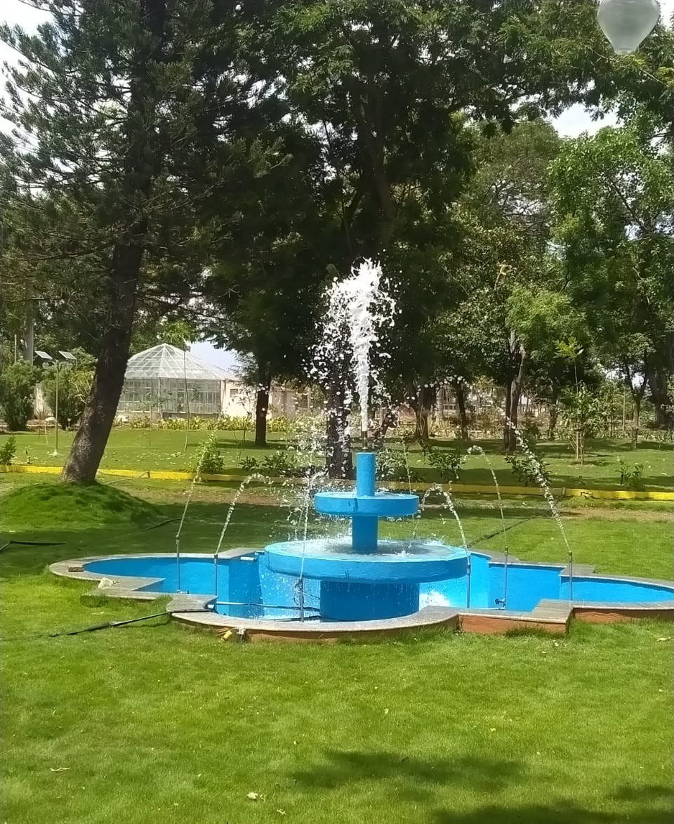 Garden Fountain